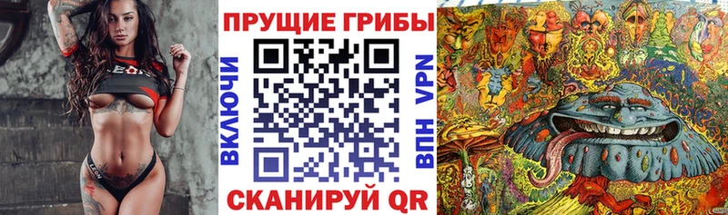 Псилоцибиновые грибы Psilocybe  KRAKEN как зайти  Искитим 